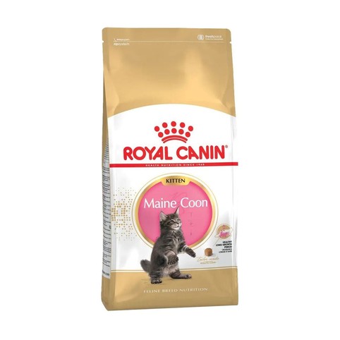 Корм Royal Canin Mainecoon Kitten сухий для кошенят 2кг