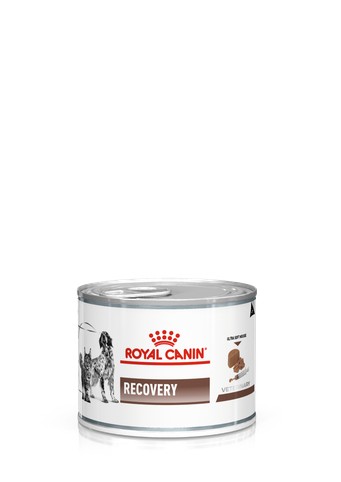 Корм Royal Canin Recovery лікувальний паштет для собак і котів 195г